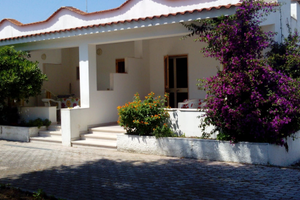 Vieste Mare Estate 2026