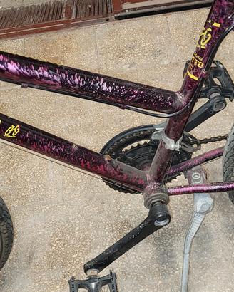 bicicletta 
