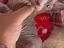 Immagine 2