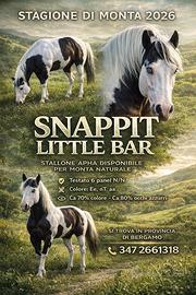 Stagione di monta 2026