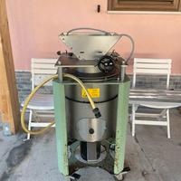 Mini Frantoio olive TEM