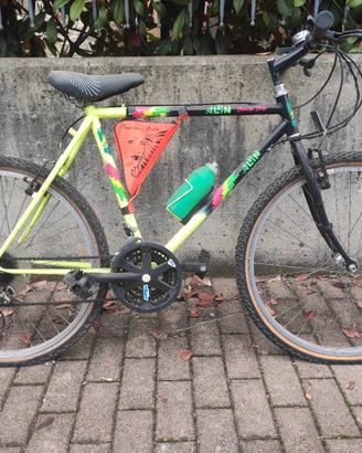 Mountain bike