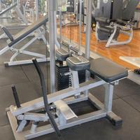 Sitting Calf Teca - No Technogym