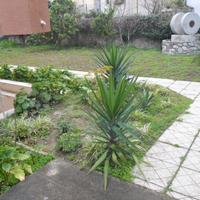 Appartamentino in posizione centrale tranquilla