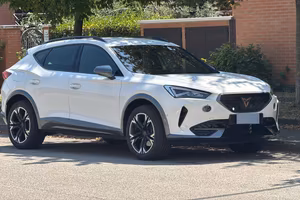 Cupra Formentor 1.5 TSI DSG (2021) – Come Nuova