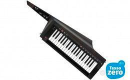 Korg RK-100S2 Black TASSO E SPESE ZERO 20 MESI