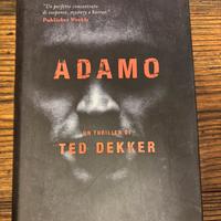 Adamo, romanzo thriller