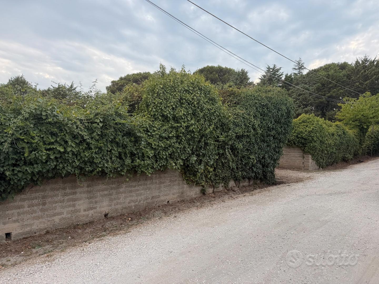 Terreno Agricolo - Vista 5