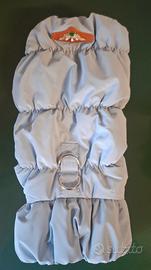 giubbottino per cani