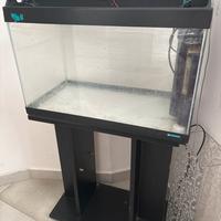 Acquario