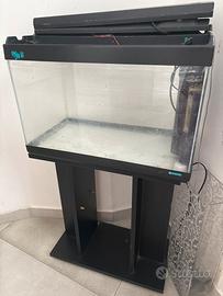 Acquario