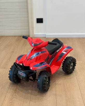 Mini Quad Racing