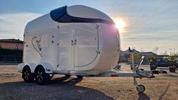 Trailer van trasporto cavalli in vetroresina
