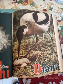 riviste DIANA - annata completa 1949