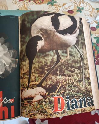 riviste DIANA - annata completa 1949