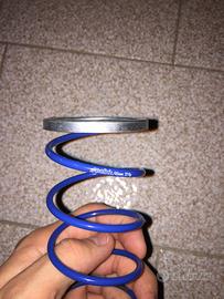 Molla contrasto polini blu