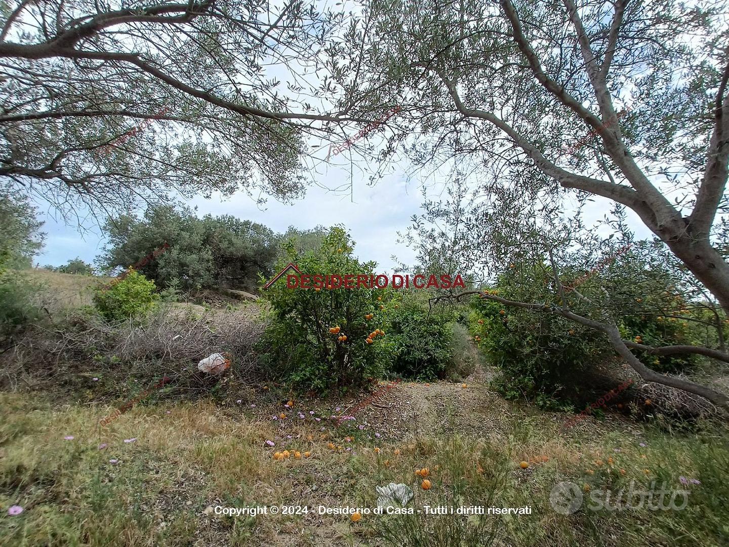 Terreno, Bagheria. - Vista 5