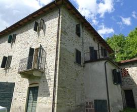 Rustico a Castel San Niccolò, 12 locali