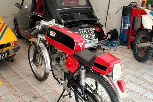 malanca 4m sport 