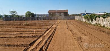 Macina sassi e trincia forestale