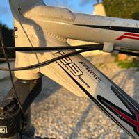 Bicicletta mountain bike
