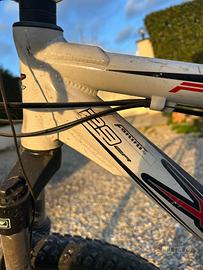 Bicicletta mountain bike
