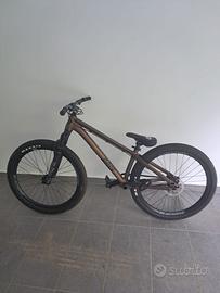 Bici Dirt Rose Bruce