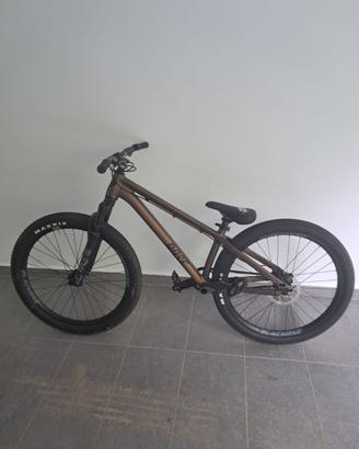 Bici Dirt Rose Bruce