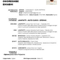 Lavapiatti, manovale, operaio