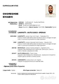 Lavapiatti, manovale, operaio