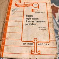 Signore, vorrei essere il vostro cameriere partico