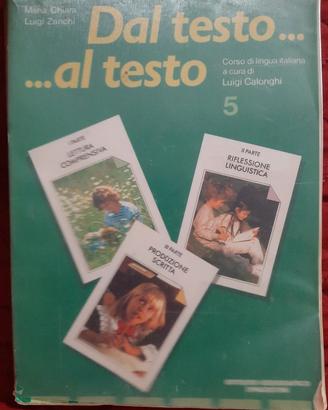Dal testo al testo corso di lingua italiana 