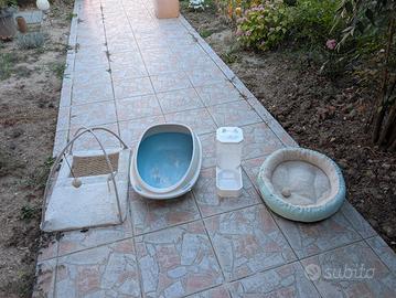 kit basico per gatto