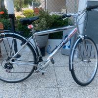 Bicicletta Alpina Uomo
