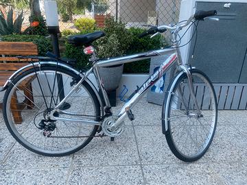 Bicicletta Alpina Uomo