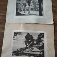 Coppia di Stampe Vintage su Seta/Tessuto – 