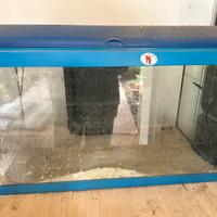 Acquario 60 lt