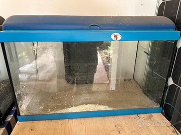 Acquario 60 lt
