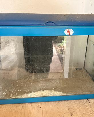 Acquario 60 lt