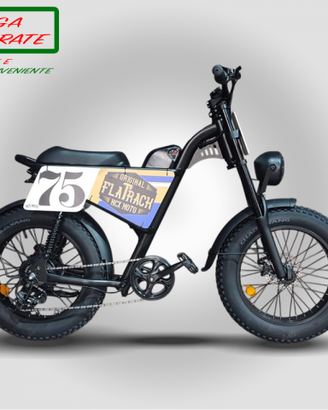 Fat Bike Elettrica 20” 500W