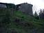 Immagine 6