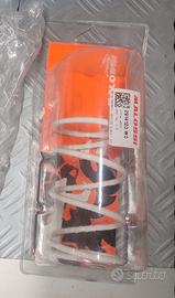 molla di contrasto Malossi 