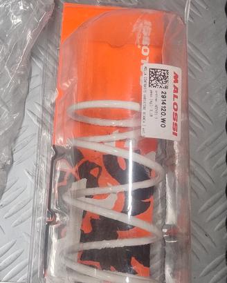 molla di contrasto Malossi 