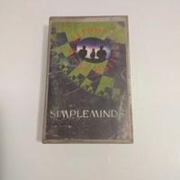 cassetta simpleminds 