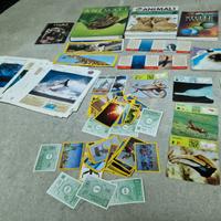 Set per Bambini che amano gli animali e la natura