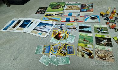 Set per Bambini che amano gli animali e la natura