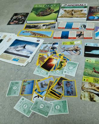 Set per Bambini che amano gli animali e la natura