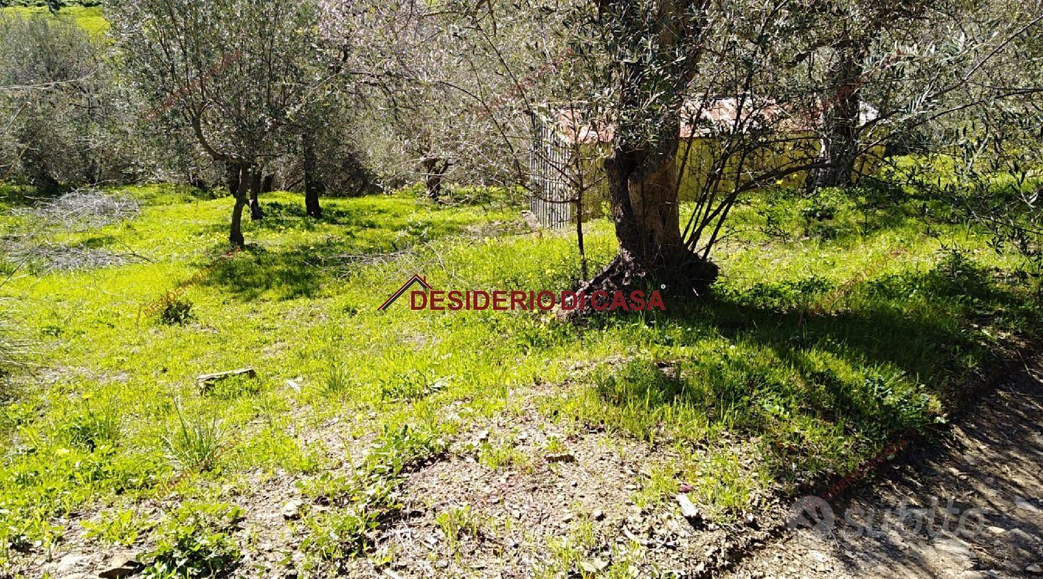 Terreno, Cefalù. - Altro