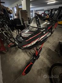 Polaris rmk verti al excape 800