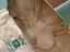Immagine 2